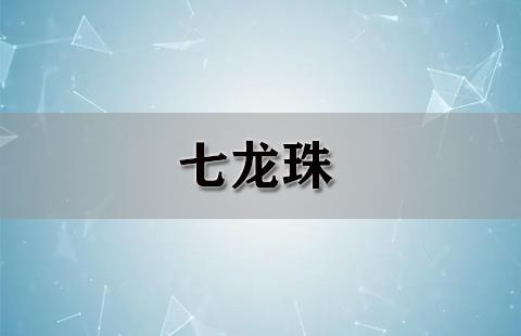 七龙珠