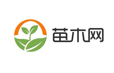 苗木网