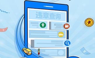 违章查询软件