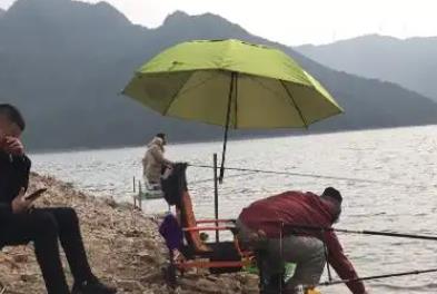 钓鱼交友的手机软件推荐