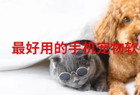 最好用的手机宠物软件大全