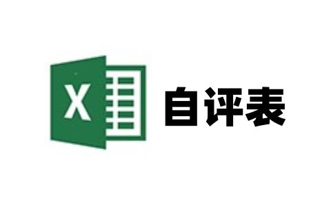 自评表