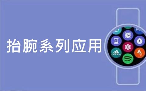 抬腕系列应用