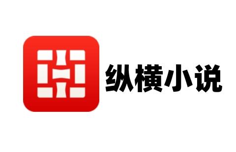 纵横小说