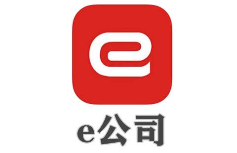 e公司