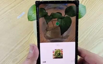 扫图识物的手机app大全