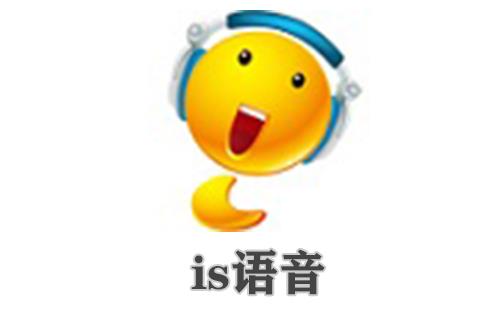 is语音
