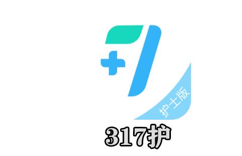 317护