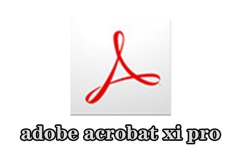 adobe acrobat xi pro