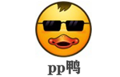 pp鸭