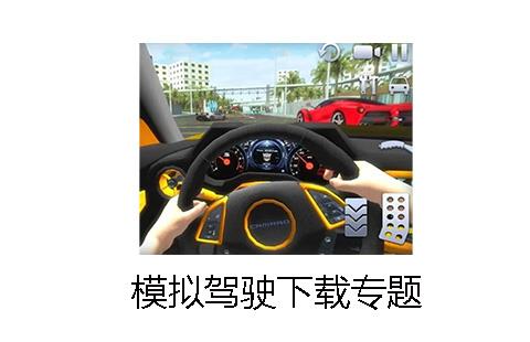 模拟驾驶