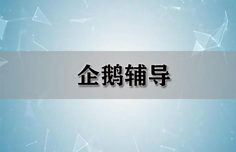 企鹅辅导