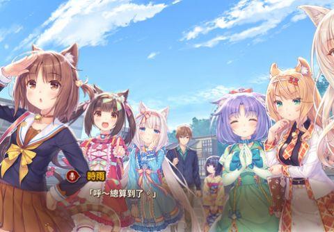 猫娘乐园