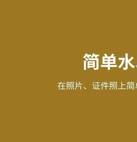 添加水印的软件