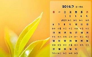 日历表软件