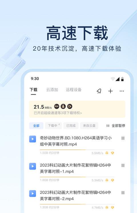 苹果迅雷testflight版本
