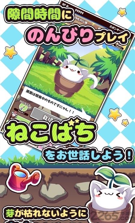 盆栽猫咪内购破解版