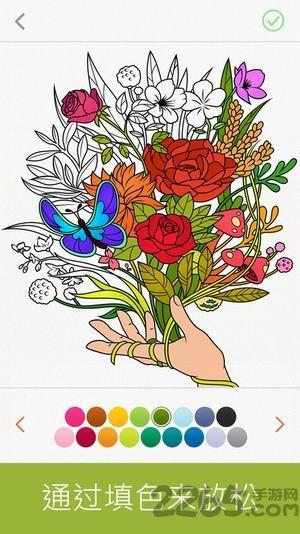 colorfy苹果版
