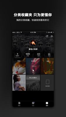 毛球手机版