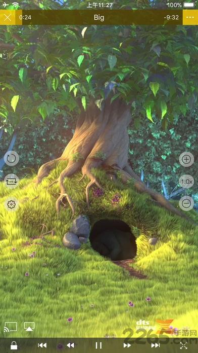 nplayer苹果版