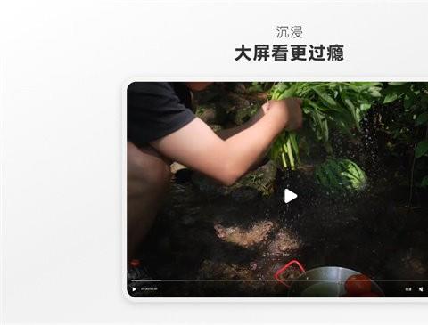 小红书pc端电脑版