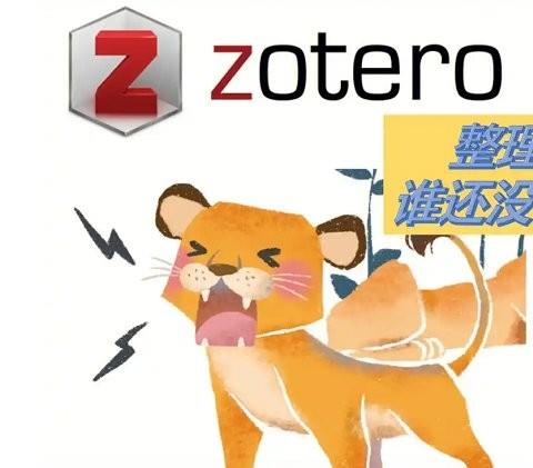 zotero电脑版