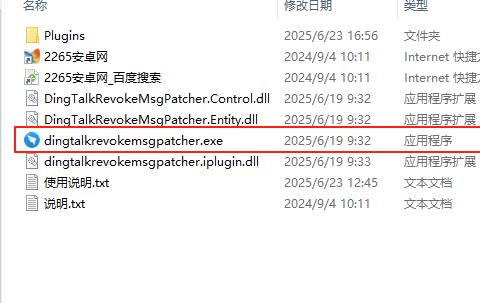 钉钉防撤回插件补丁