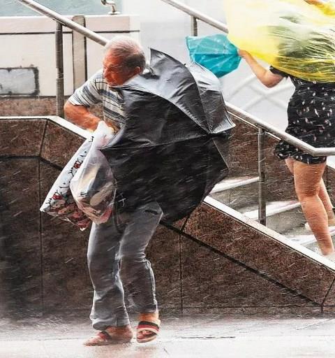灾害预警软件