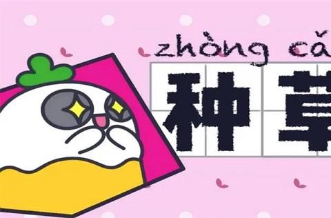 种草社区app