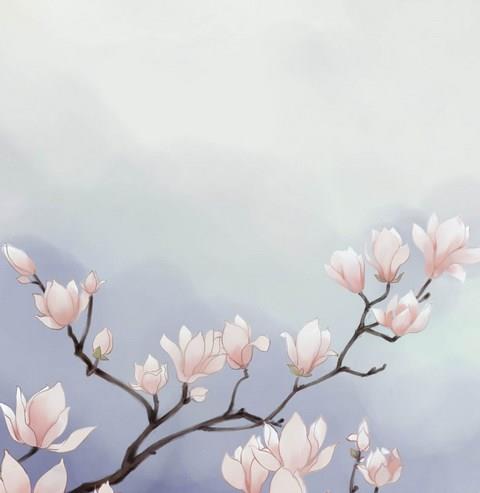 穿越小说app