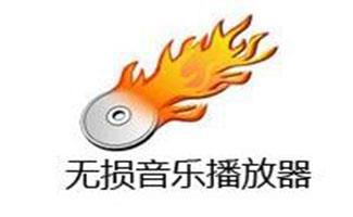 无损音乐下载器
