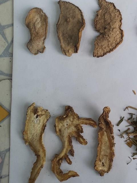 中药识别软件