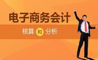 会计核算软件