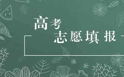 志愿填报软件排行榜