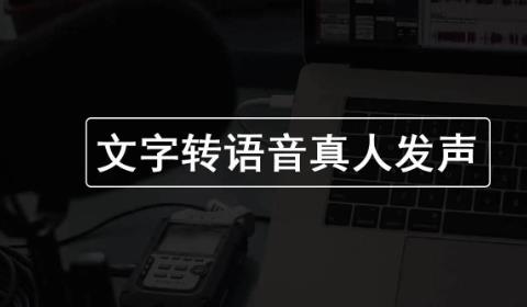 语音生成文字的手机app推荐