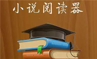 小说阅读器