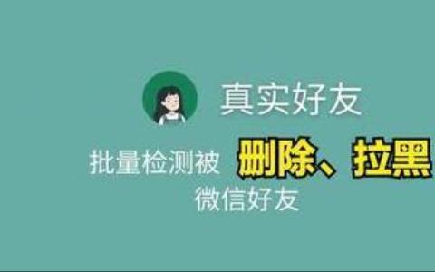真实好友app