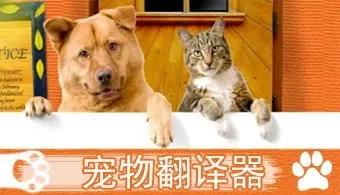宠物翻译器