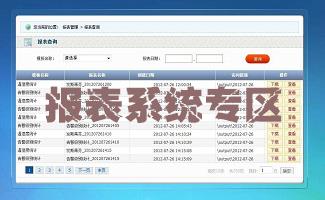 报表系统专区