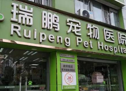 宠物医院的手机app大全