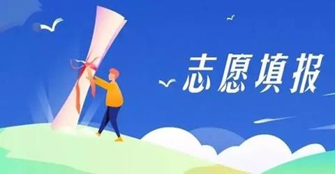 高考报考软件