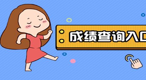 输入考号查成绩的软件