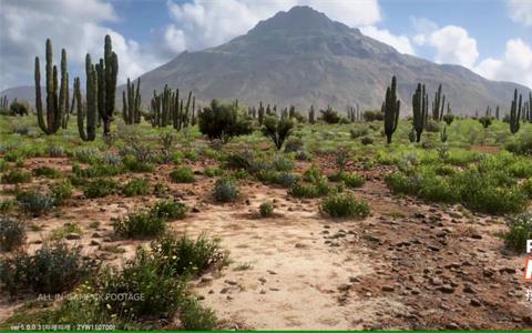 地平线5手机版