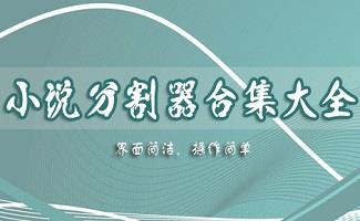 小说章节分割器