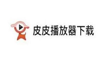 皮皮播放器专辑