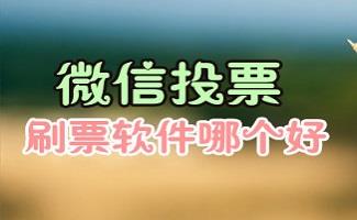 微信投票软件