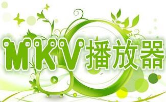 mkv播放器