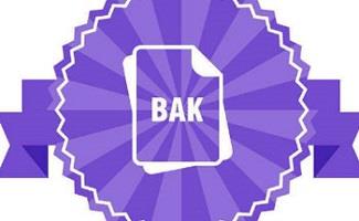 bak文件是什么