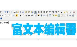 富文本编辑器