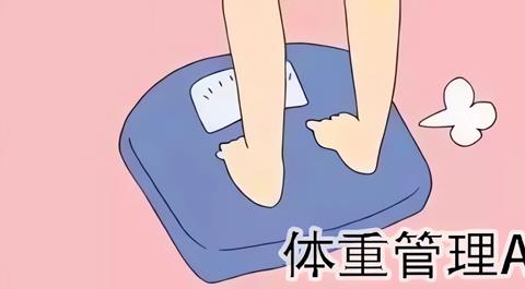 体重管理软件大全